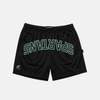 Michigan State Spartans Mesh Shorts