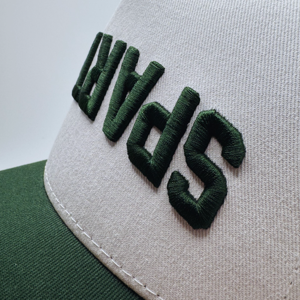 Michigan State Spartans Hat