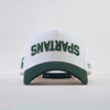 Michigan State Spartans Hat