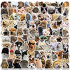 10/30/50/100pcs Cute Dog Cat MEME Funny Animals Stickers Kawaii Cartoon Decals Skateboard Notebook Luggage Phone Car Sticker Toy