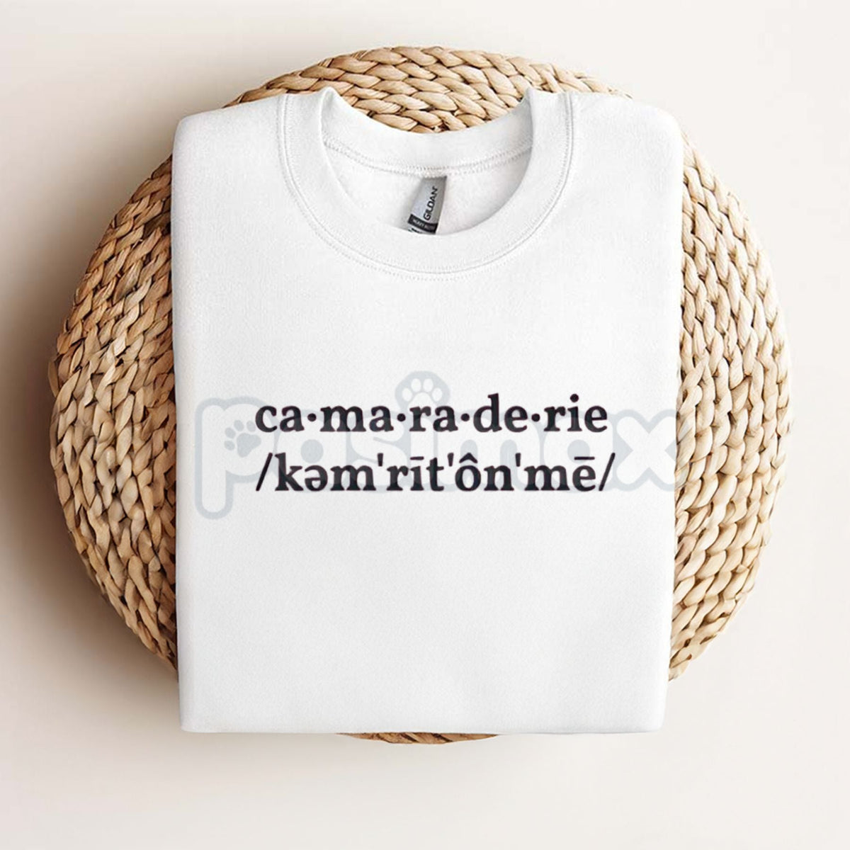 Sabrina Carpenter Camaraderie Embroidered Shirt – Unisex, Relaxed Fit Tee for Concert & Fan Apparel