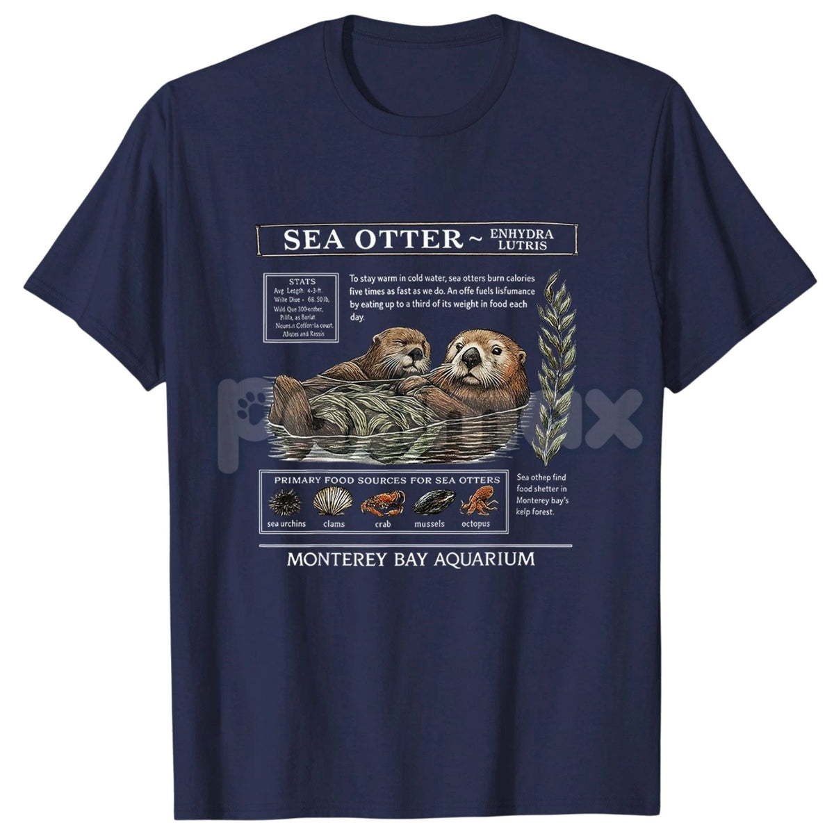 Sea Otter Monterey Bay Aquarium T-Shirt - Official Otter Lovers Tee, Souvenir Graphic Apparel