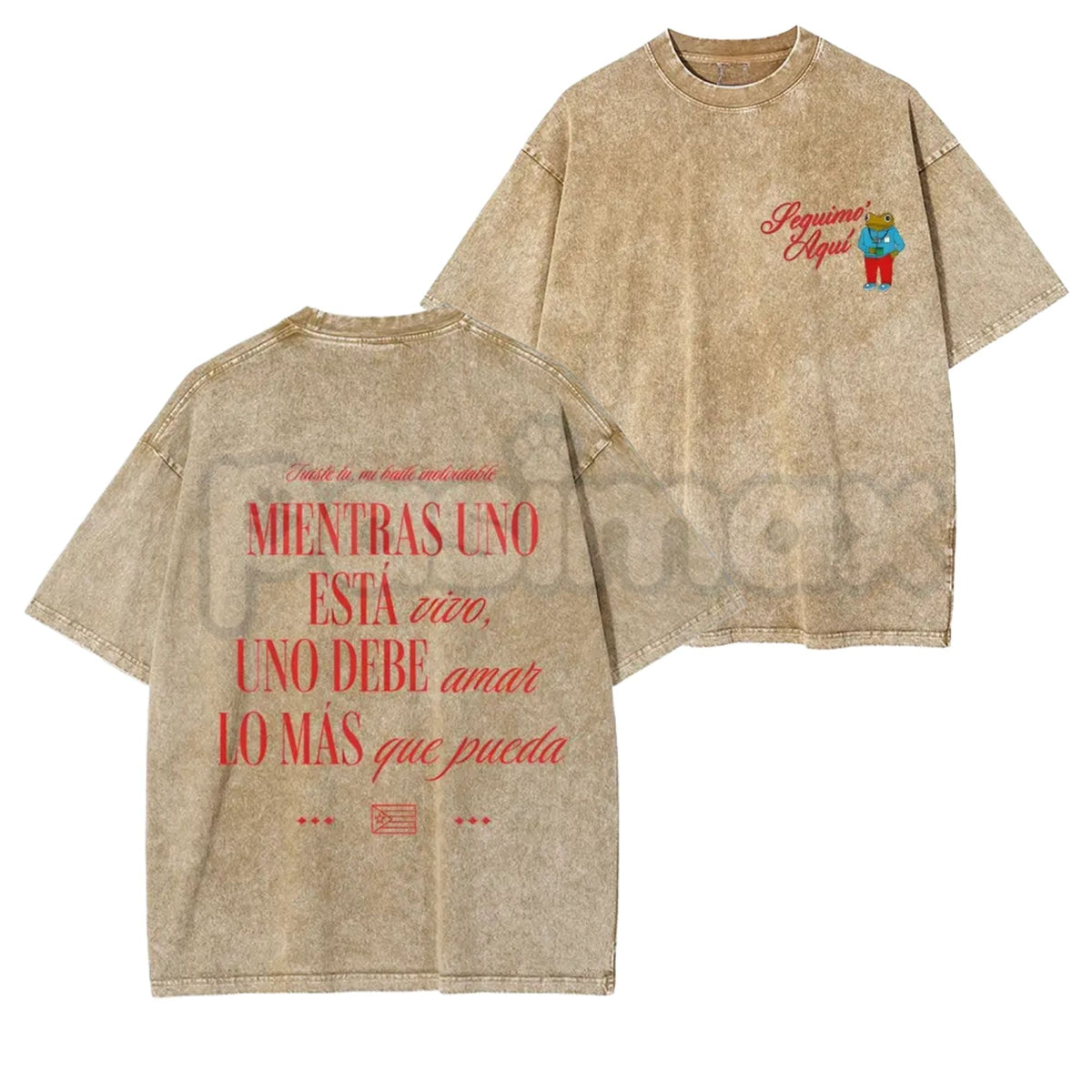Seguimo Aqui Sapo Concho Washed T-Shirt – Puerto Rican Reggaeton Streetwear, Perreo Babe Graphic Tee