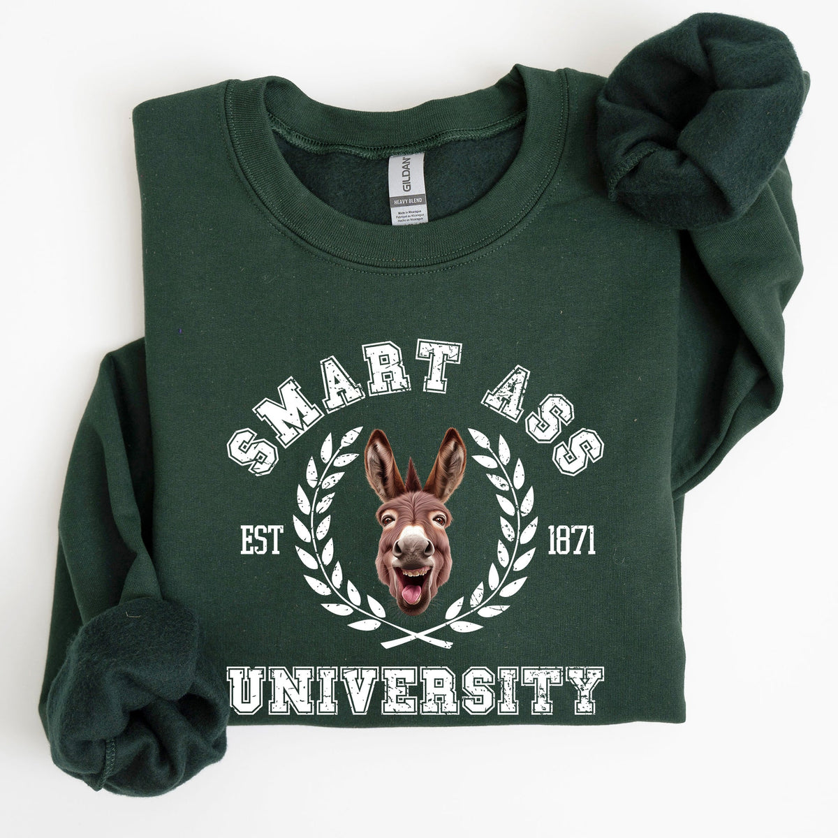 Smart Ass University Donkey Sarcastic College Meme Funny Graphic Quote Sweatshirt