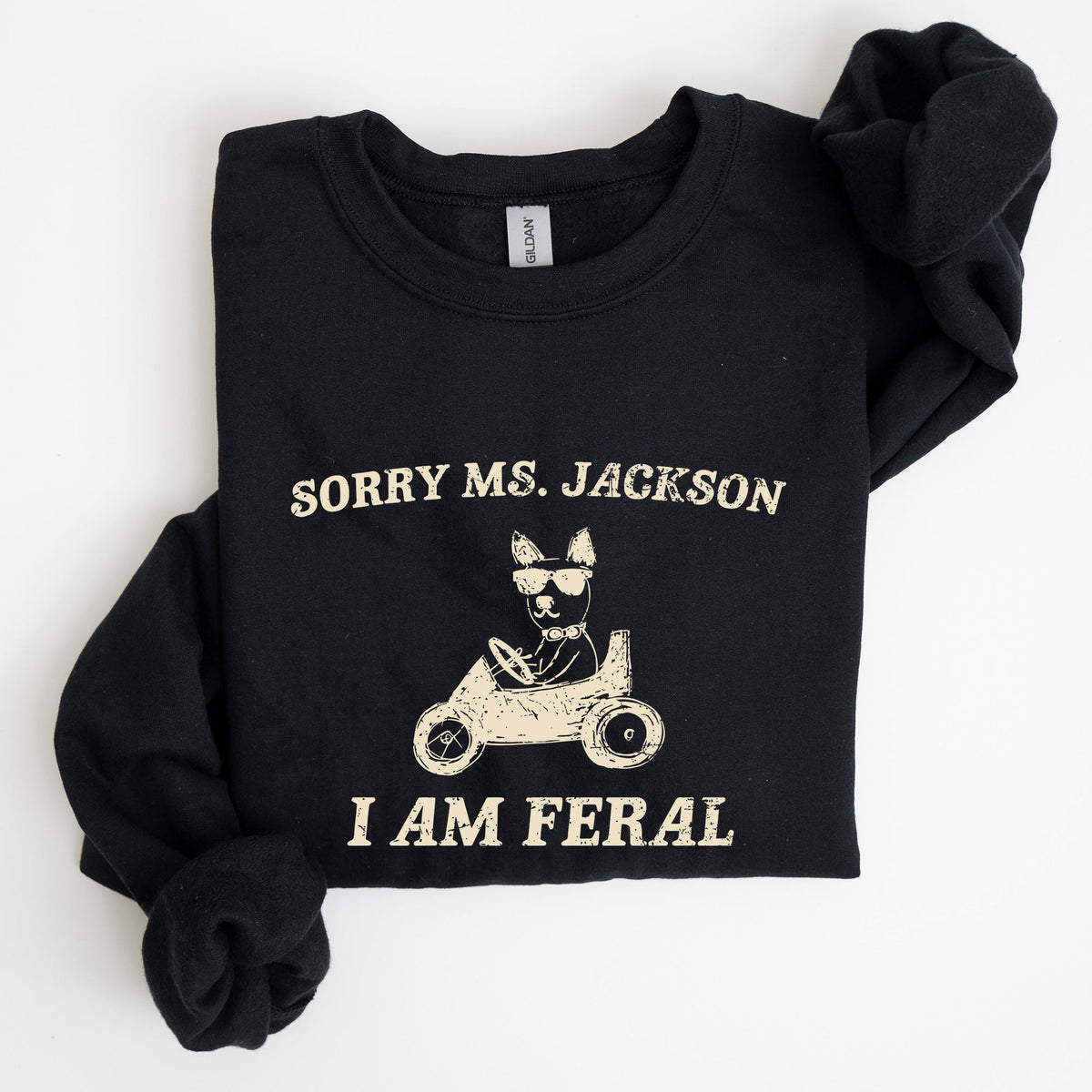 Sorry Ms Raccoon Meme Expression Of Internet Humor And Quirky Reactions Sweatshirt
