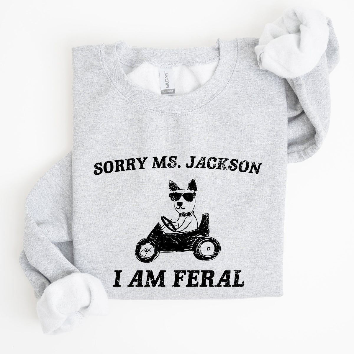 Sorry Ms Raccoon Meme Expression Of Internet Humor And Quirky Reactions Sweatshirt