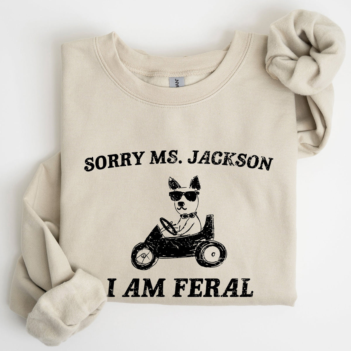 Sorry Ms Raccoon Meme Expression Of Internet Humor And Quirky Reactions Sweatshirt