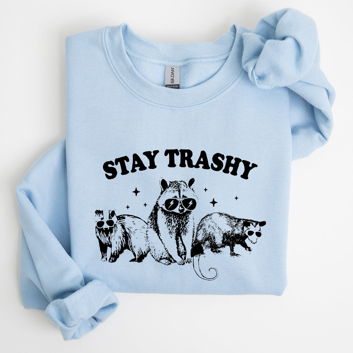 Stay Trashy Raccoon Possum Aesthetic Meme Funny Graphic Illustration Quote Pop Culture Style Sweatshirt
