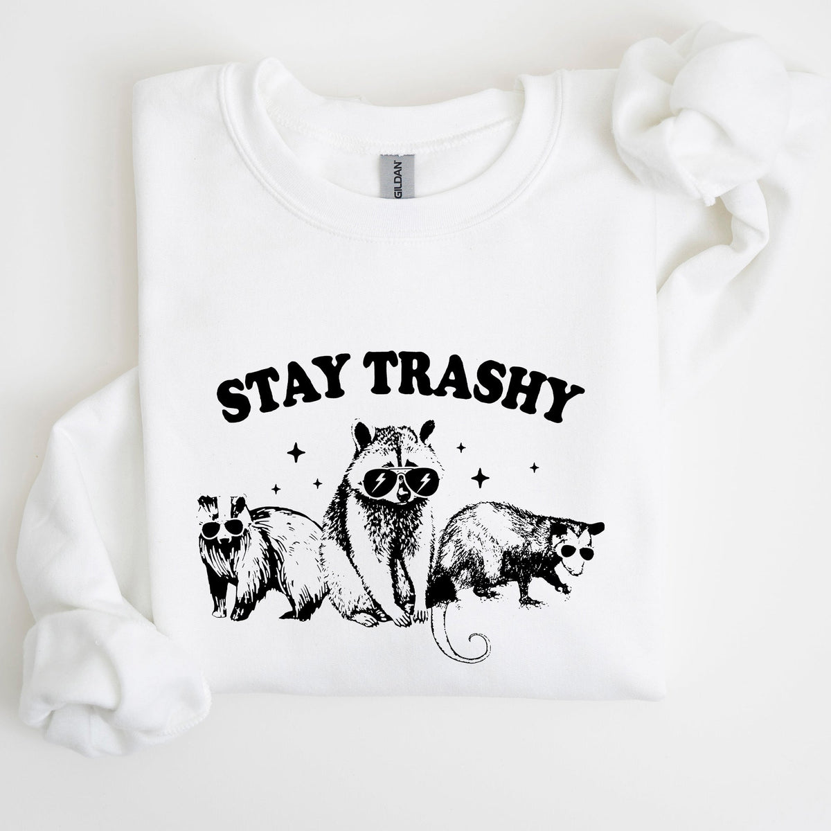 Stay Trashy Raccoon Possum Aesthetic Meme Funny Graphic Illustration Quote Pop Culture Style Sweatshirt