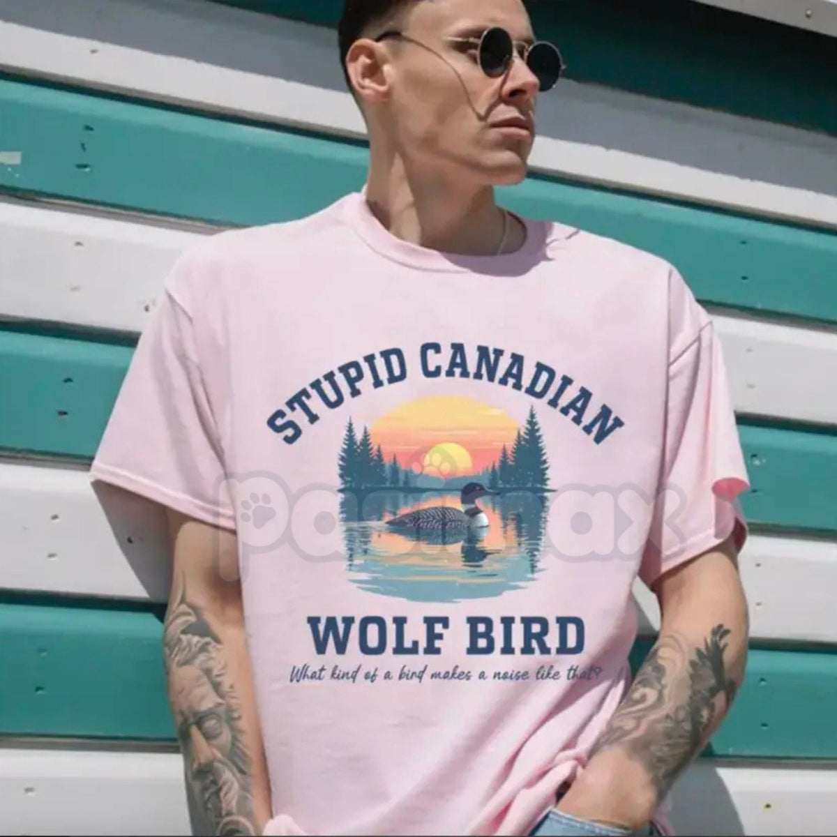 "Stupid Canadian Wolf Bird" Hockey Romance T-Shirt - Funny LGBT Hockey Fan Gift, BookTok Sarcastic Sports Romance Tee, Unisex Pucking Around Inspired Top