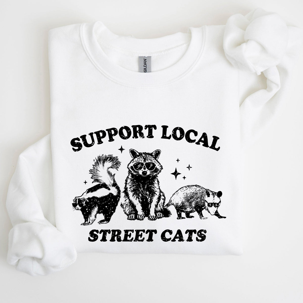 Support Local Street Cats Raccoon Skunk Possum Meme Sweatshirt For Animal Lovers