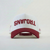 Troy Trojans Hat
