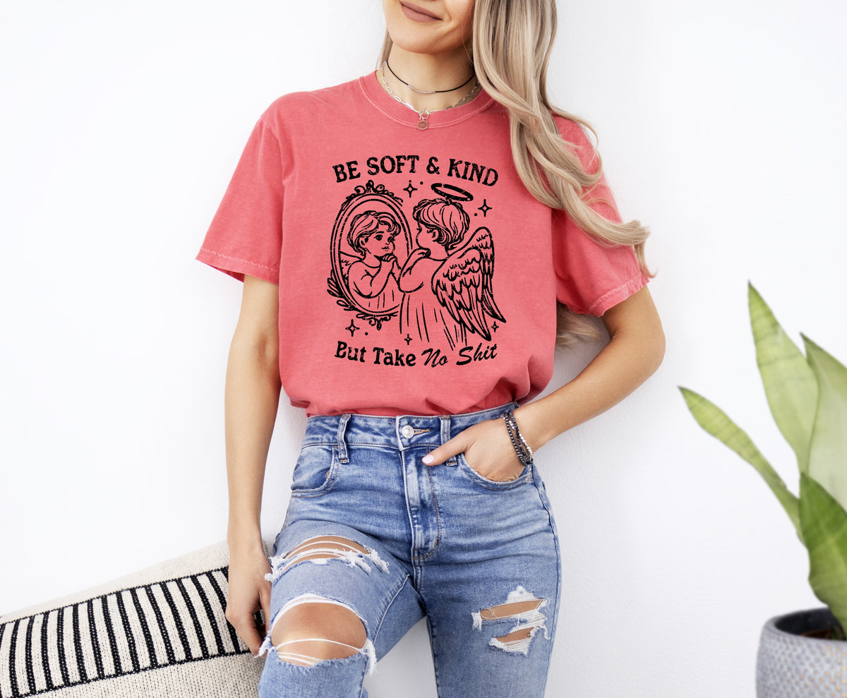 Take No Shit Angel Be Kind Meme Quote Bold Attitude Statement For Everyday Wear And Confidence Comfort Colors Tee