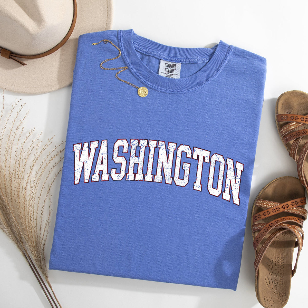 Washington State Football Game Day Tailgate University Pride Edition Comfort Colors Tee