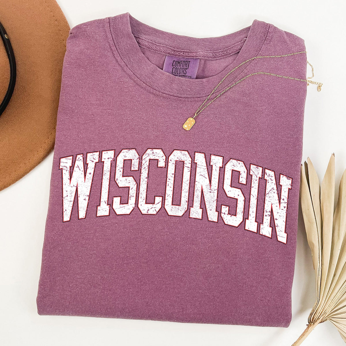 Wisconsin Football Game Day Tailgate Party University State Fans Unite Comfort Colors Tee