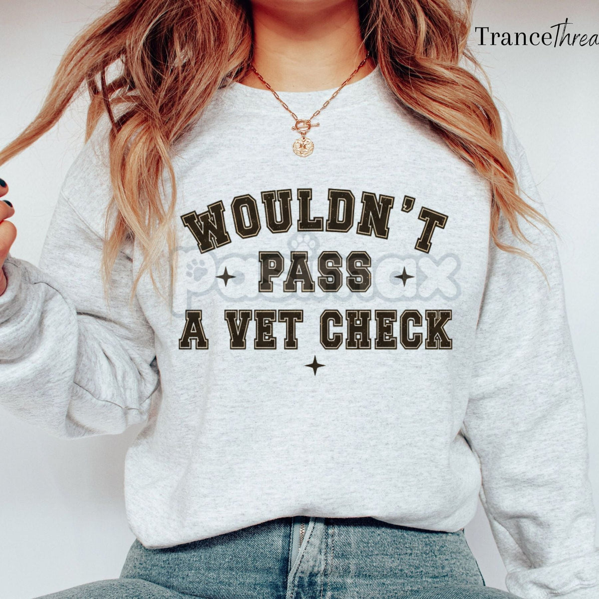 "Wouldn't Pass A Vet Check" Sweatshirt – Funny Sarcastic Vet Tech & Pet Lover Crewneck