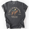 Yellowstone National Park Wyoming Nature Outdoors Camping Hiking Comfort Colors Tee