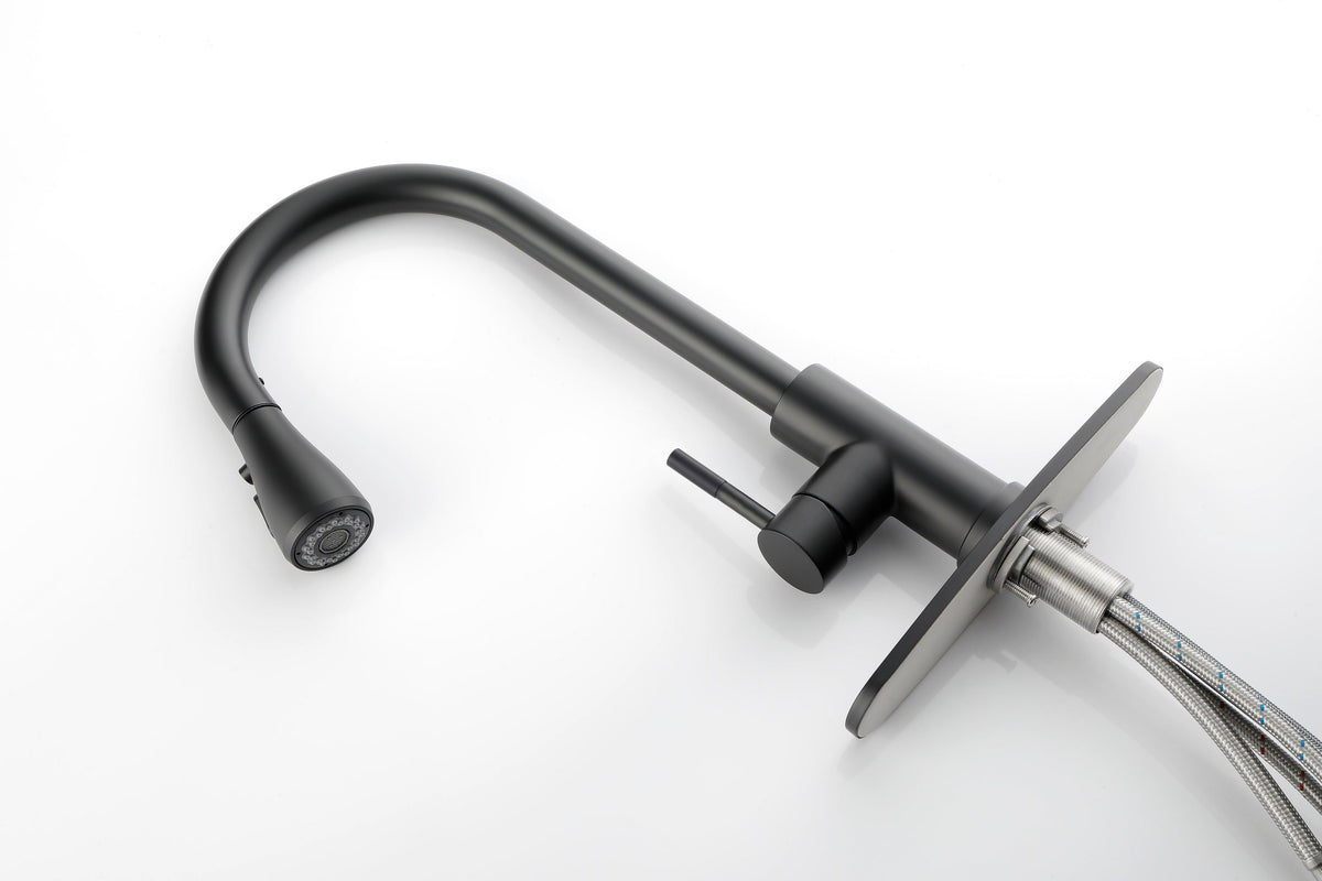 Kitchen Faucet with Pull Out Spraye