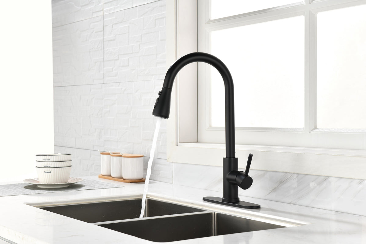 Kitchen Faucet with Pull Out Spraye