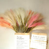 Bulrush Artificial Pampas Grass Phragmites 100cm Popular Natural Dried Small Pampas Grass For Wedding Flower Bunch Floor Vase Filler for Living Room Kitchen Decor