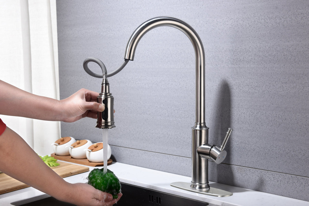 Kitchen Faucet with Pull Down Sprayer