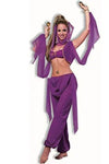 Desert Princess Costume