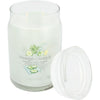 YANKEE CANDLE by Yankee Candle CUCUMBER MINT COOLER SCENTED LARGE JAR 22 OZ