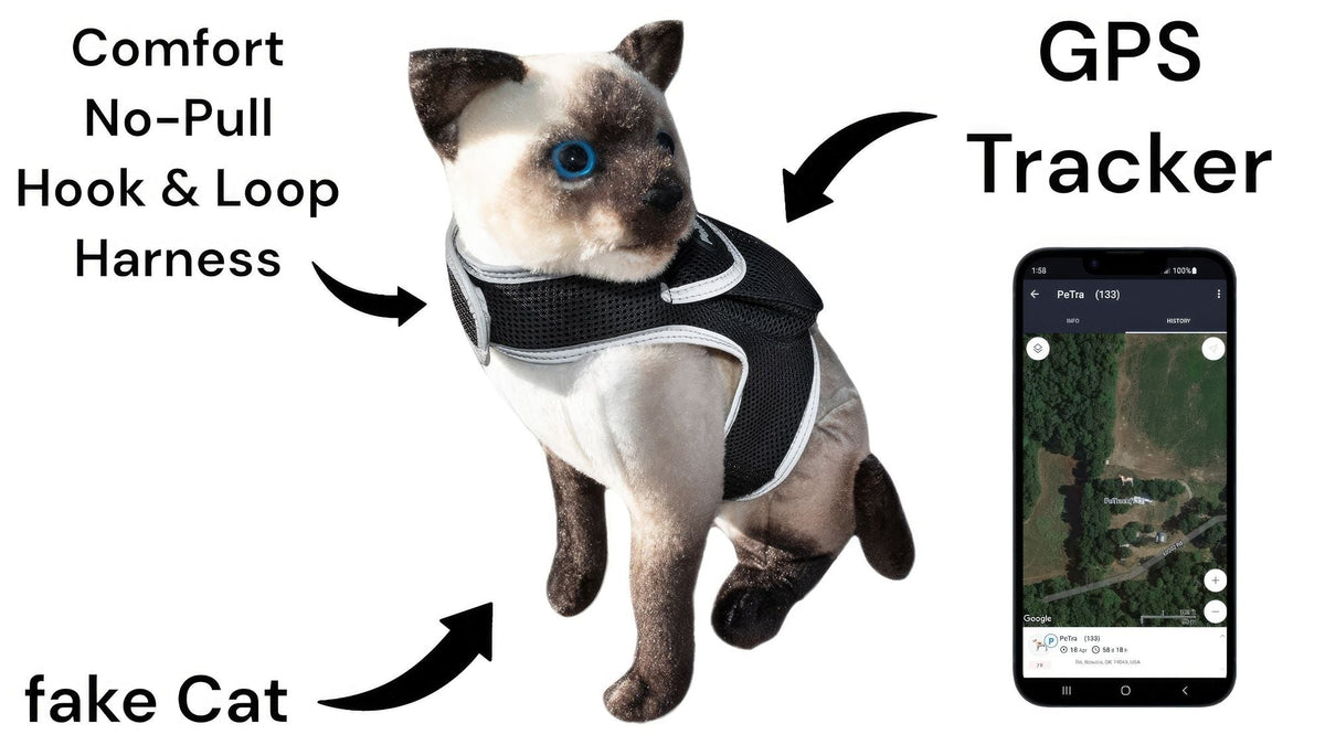 Consistent Realtime Mini Cat Dog GPS Tracking Collar Waterproof Device Size:L