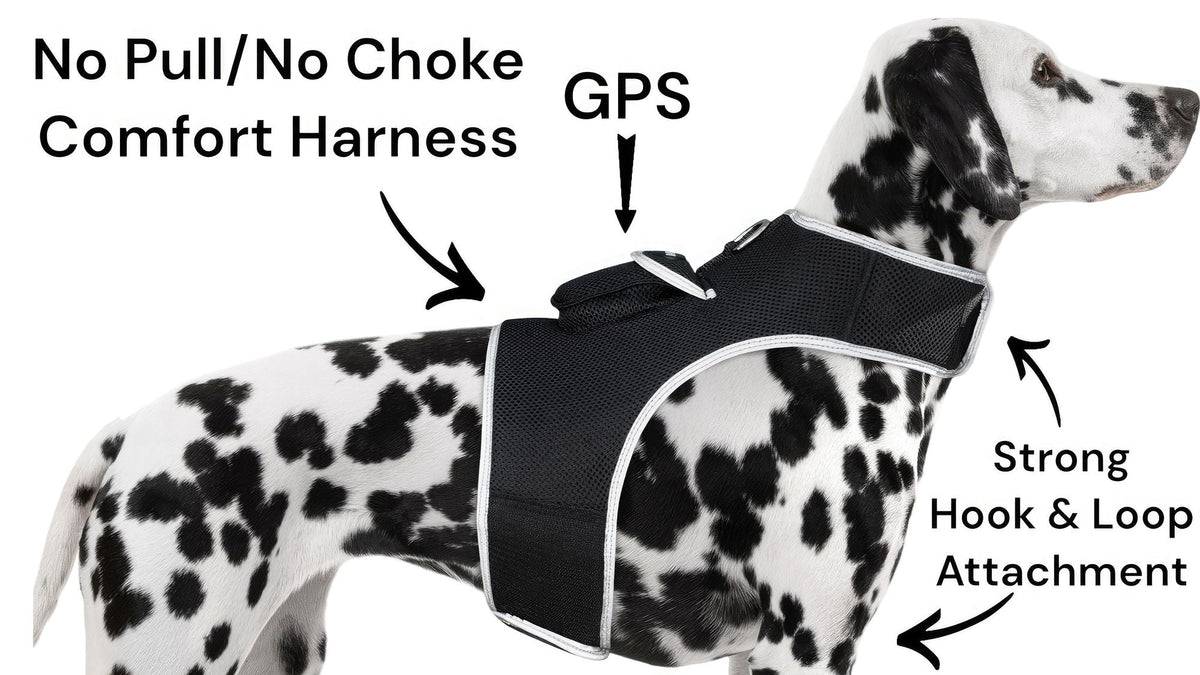 Waterproof GPS Tracker Dog Cat Rechargeable Locator with Battery Alert Size:L