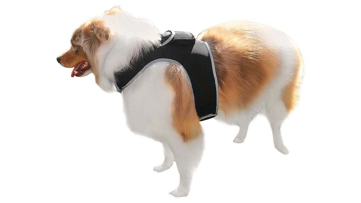 Waterproof Collar Mount Tracker Realtime GPS GSM Puppy Tracking Device Size:L