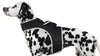 GSM GPS Animal Tracker Collar Attached Rechargeable Realtime Surveillance Gadget Size:XXL