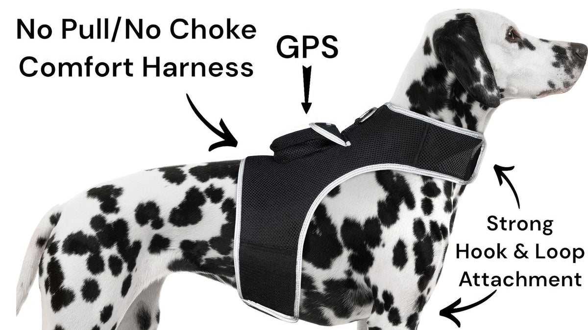 Collar Rechargeable Portable GPS Tracking Devices for Pets GSM Locator Size:S