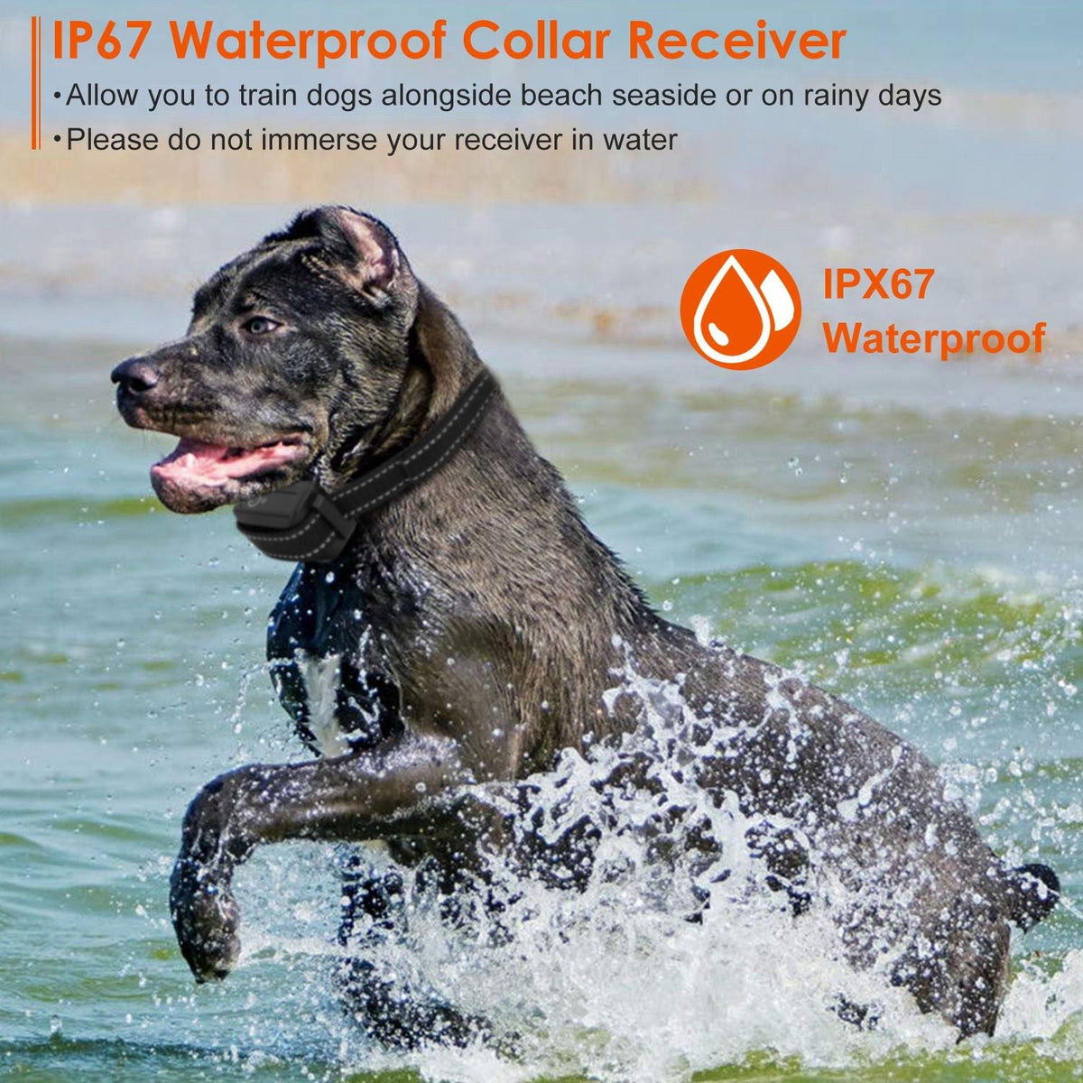 Long-Range Dog Training Collar - 3280FT Waterproof with Vibration, Beep & Shock Features
