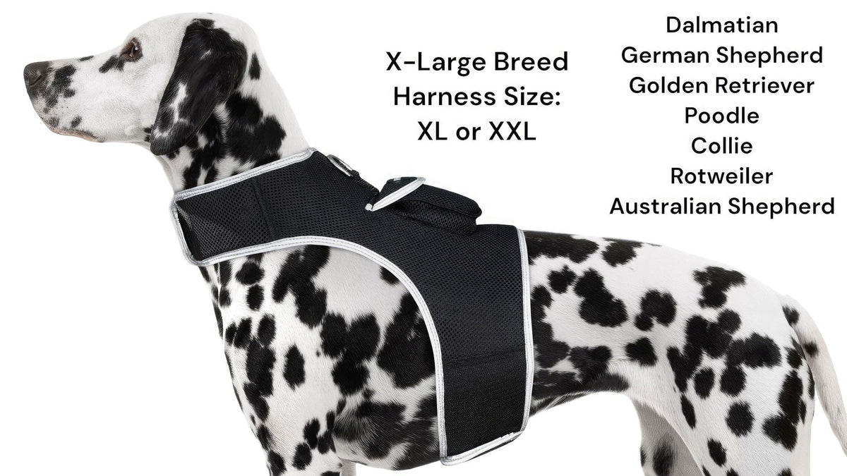 Collar Rechargeable Portable GPS Tracking Devices for Pets GSM Locator Size:S