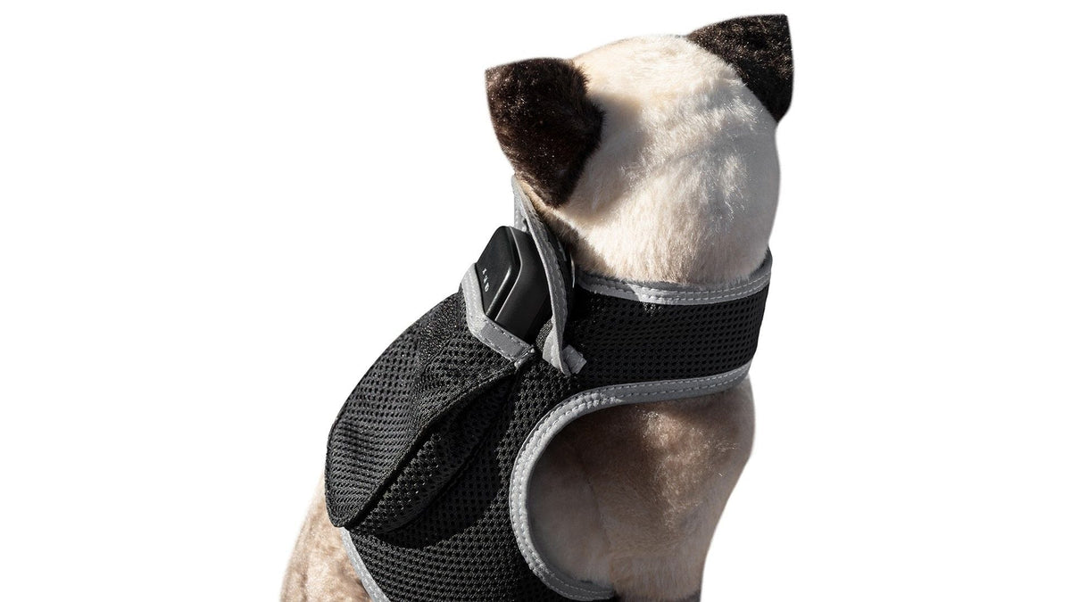 Keep Pet Safe with Pet Tracker GPS Dog Collar Tracking Device + Phone App Size:M