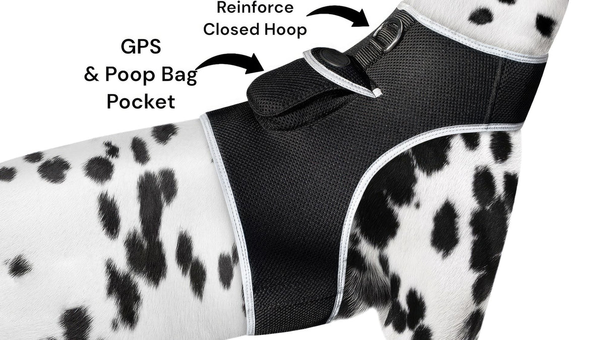 Collar Rechargeable Portable GPS Tracking Devices for Pets GSM Locator Size:S