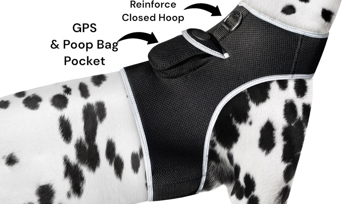 Waterproof Mini Pet Location Finder w/ Pet GPS Tracking Cell Phone App Size:M