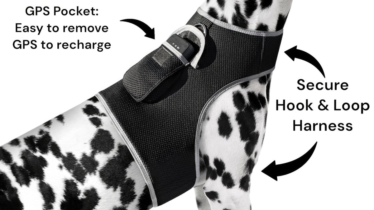 Consistent Realtime Mini Cat Dog GPS Tracking Collar Waterproof Device Size:L