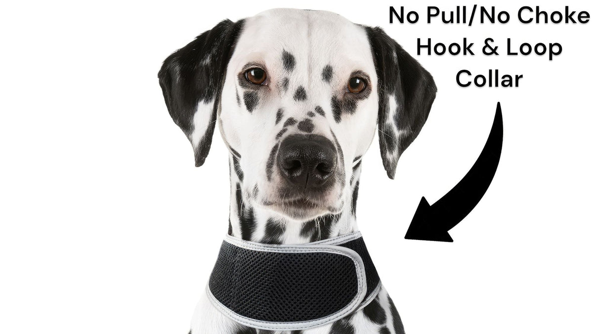 GPS Rechargeable Tracking Device for Pets Realtime Surveillance System Size:XXL