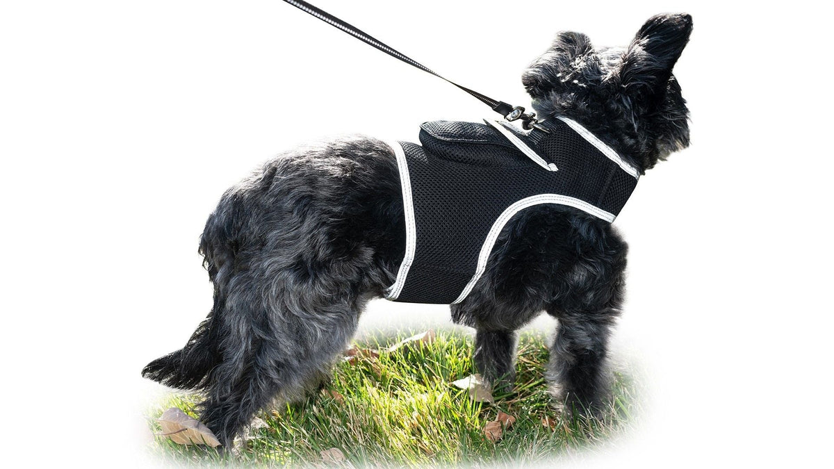 Waterproof GPS Tracker Dog Cat Rechargeable Locator with Battery Alert Size:L