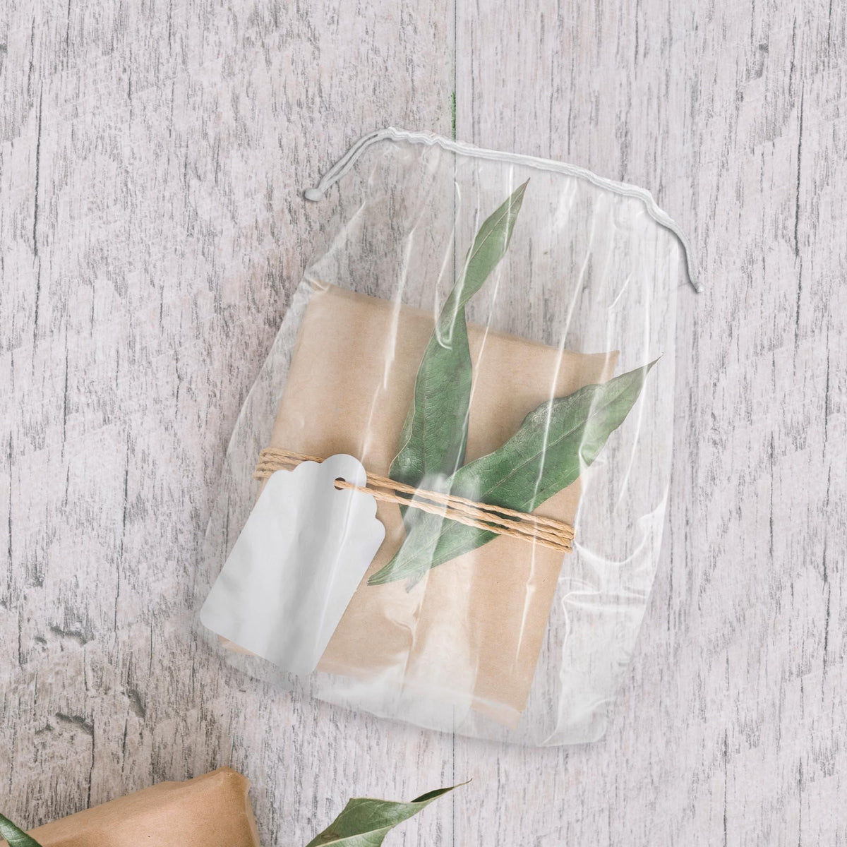 Clear Drawstring Bag, 5 x 8 Inches. Pack of 1000 Clear Plastic Drawstring Bags. 2 Mil Drawstring Clear Plastic Bags. Waterproof Clear Plastic Bags Drawstring for Cosmetics, Toiletries