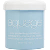 AQUAGE by Aquage COLOR PROTECTING CONDITIONER 16 OZ
