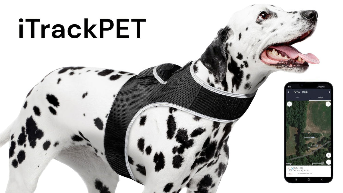 Collar Rechargeable Portable GPS Tracking Devices for Pets GSM Locator Size:XS