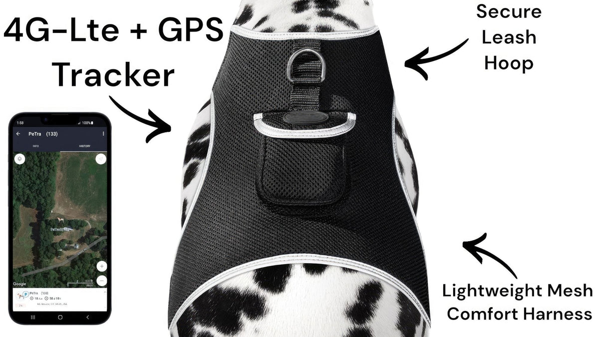 Keep Pet Safe with Pet Tracker GPS Dog Collar Tracking Device + Phone App Size:M