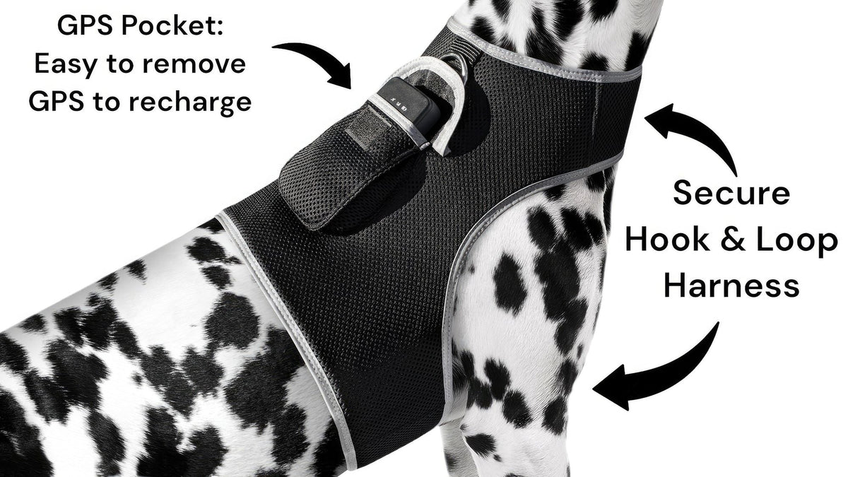 GPS Rechargeable Tracking Device for Pets Realtime Surveillance System Size:XXL