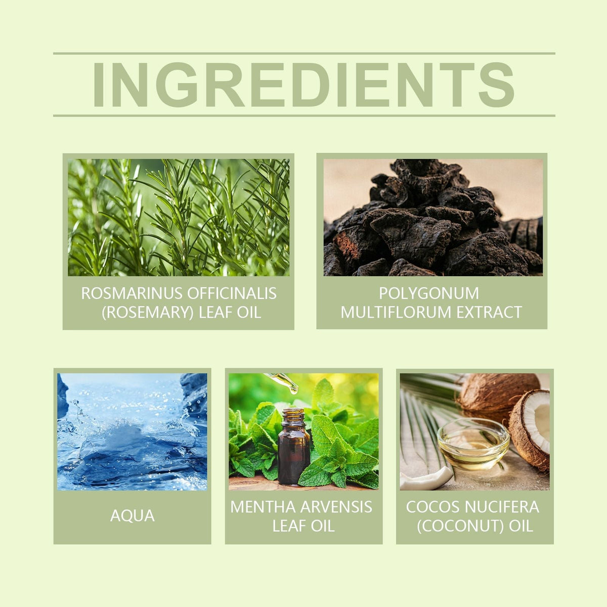Hoegoa Rosemary Hair Care Essential Oil repairs damaged hair, nourishes scalp, strengthens hair and improves split ends