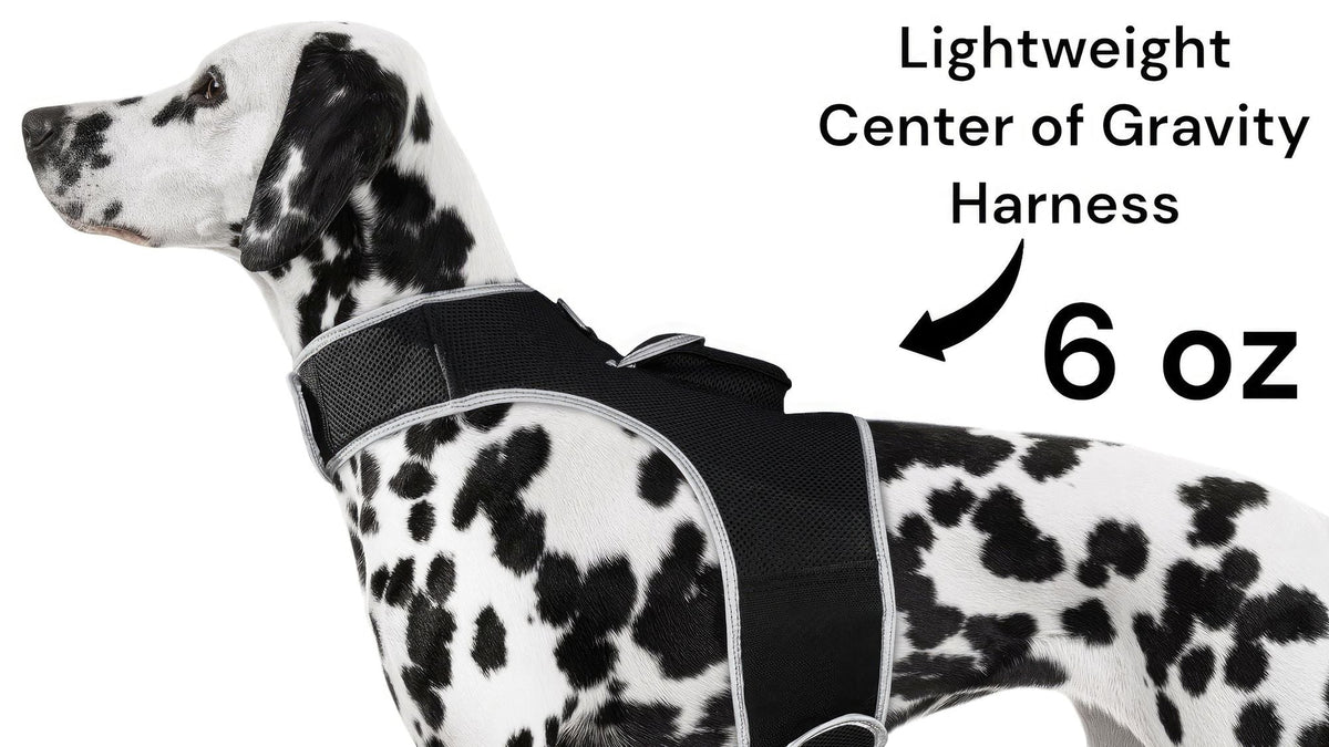 Collar Rechargeable Portable GPS Tracking Devices for Pets GSM Locator Size:S