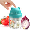 1pc 250ml/8.45oz Mini Electric Food Chopper Food Processor For Onion Chili Herb Garlic Small Cordless Veggie Fruit Blender