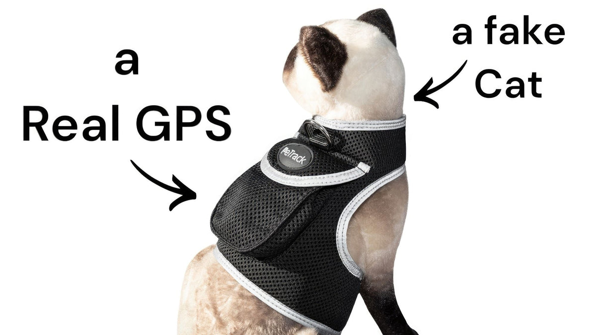 Easy Setup Waterproof Mini GPS Realtime Pet GSM GPRS Tracking Device Size:L