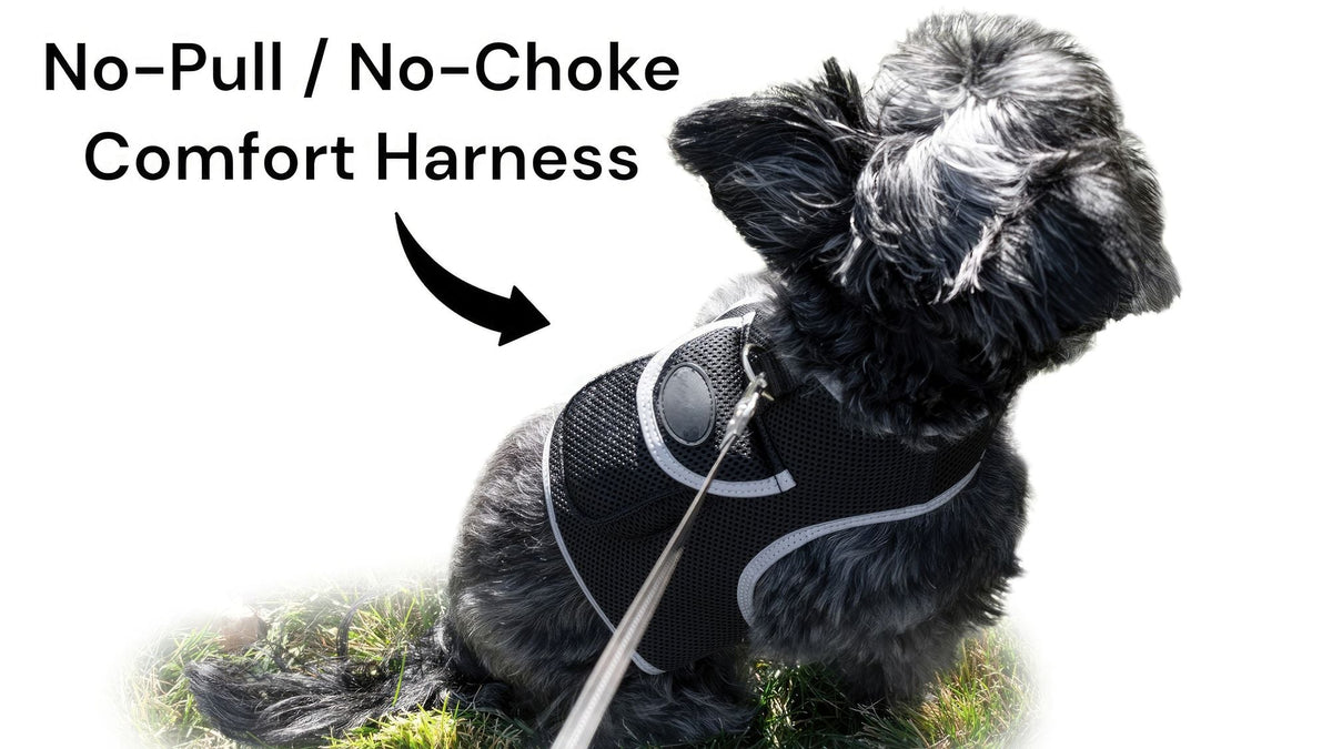 Keep Pet Safe with Pet Tracker GPS Dog Collar Tracking Device + Phone App Size:M